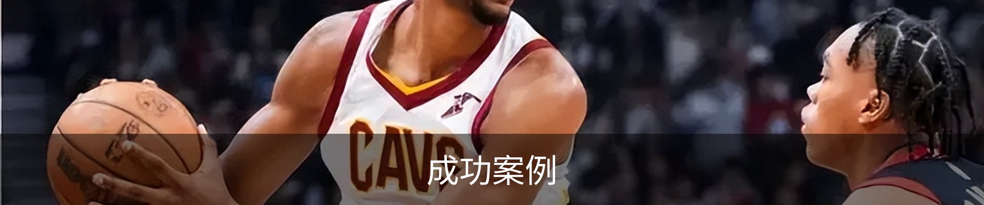 成功案例