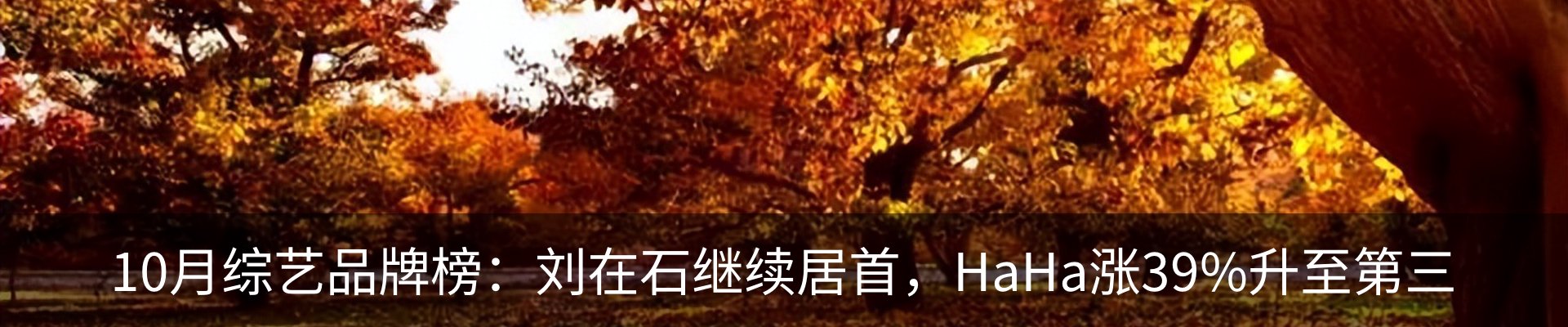 资讯中心