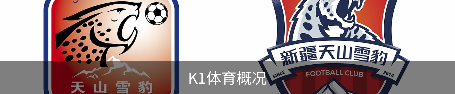 K1体育概况